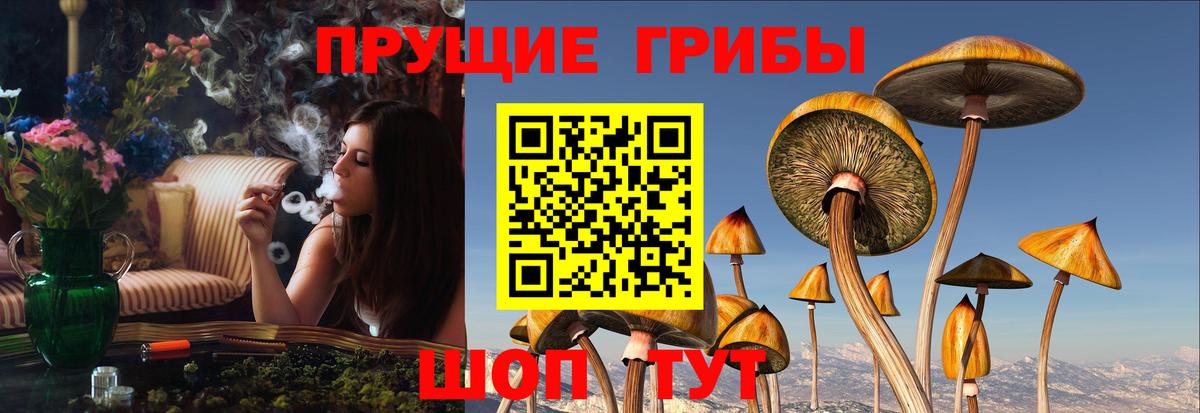 Калуга  Псилоцибиновые грибы ЛСД  Псилоцибиновые грибы мухоморы  Вход с VPN 